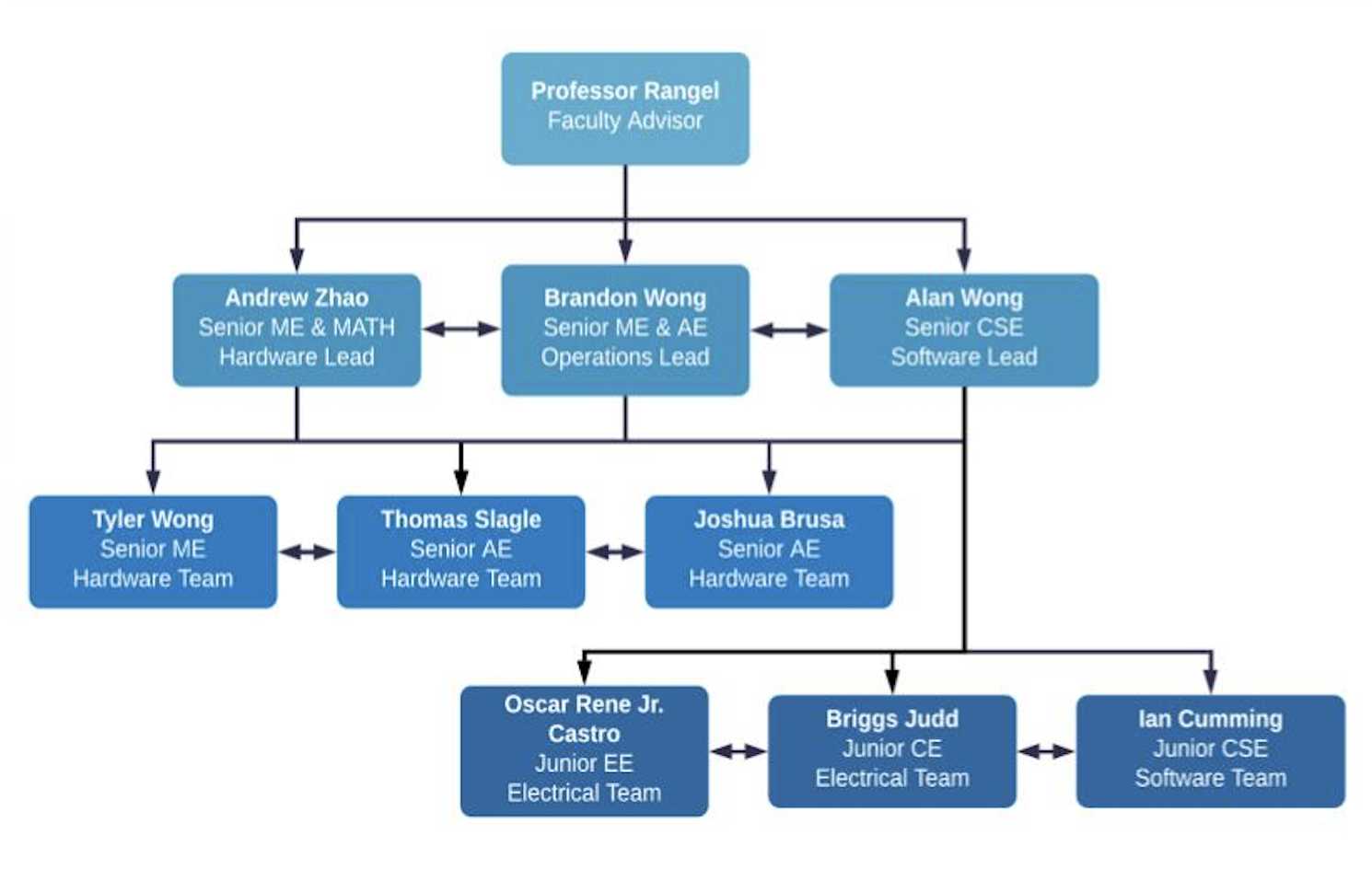 Team Roles Diagram